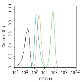 CK18 Recombinant Rabbit Monoclonal Antibody