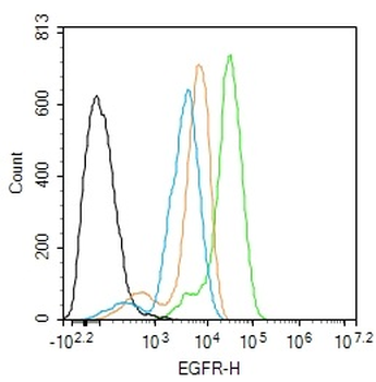 EGFR Mouse Monoclonal Antibody