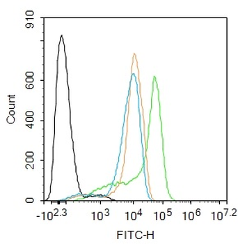 RAF1 Rabbit Polyclonal Antibody