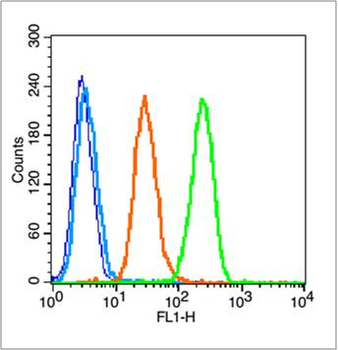 HSP90 beta Rabbit Polyclonal Antibody