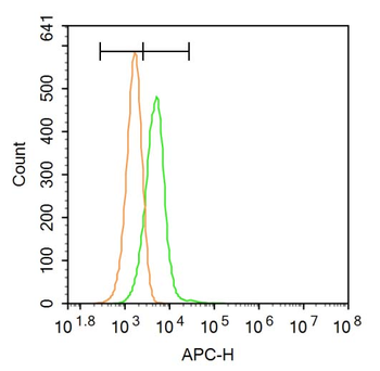 CPT1B Rabbit Polyclonal Antibody