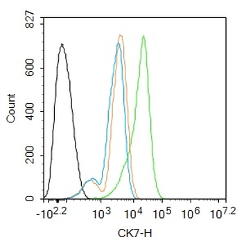 CK7 Mouse Monoclonal Antibody