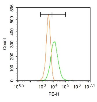 AQP7 Rabbit Polyclonal Antibody