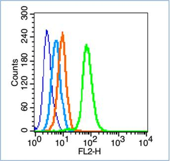 Livin Rabbit Polyclonal Antibody