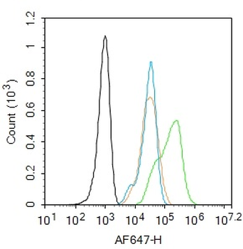 Livin Rabbit Polyclonal Antibody