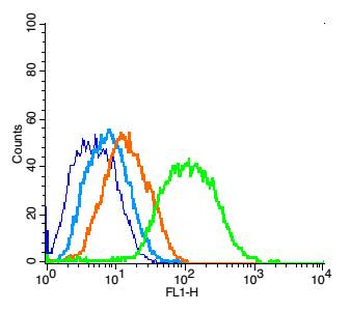 PSD95 Rabbit Polyclonal Antibody