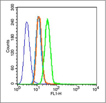 HIF-1 Alpha Rabbit Polyclonal Antibody