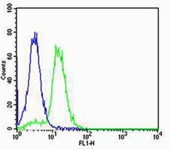 SOX2 Rabbit Polyclonal Antibody