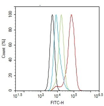 IRS-2 Rabbit Polyclonal Antibody