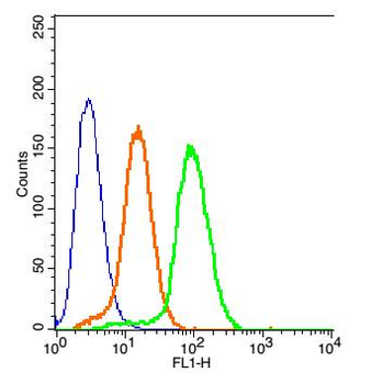 MC1R Rabbit Polyclonal Antibody