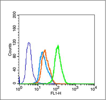 Cyclin D1 Rabbit Polyclonal Antibody