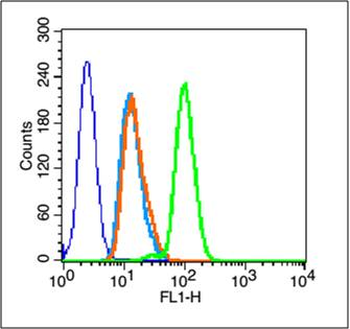 GPR30 Rabbit Polyclonal Antibody