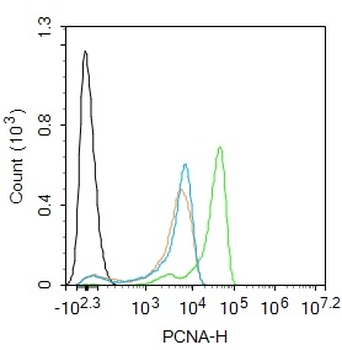 PCNA Mouse Monoclonal Antibody (Nuclear Loading Control)