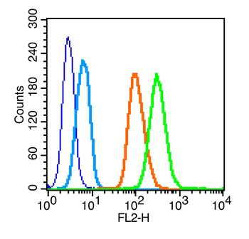 C-Kit/CD117 Rabbit Polyclonal Antibody
