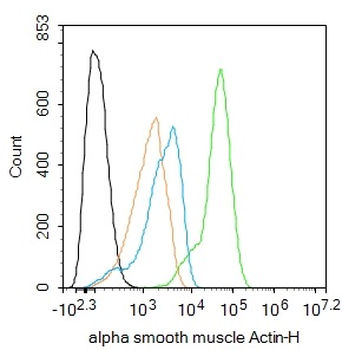 Alpha smooth muscle Actin Mouse Monoclonal Antibody