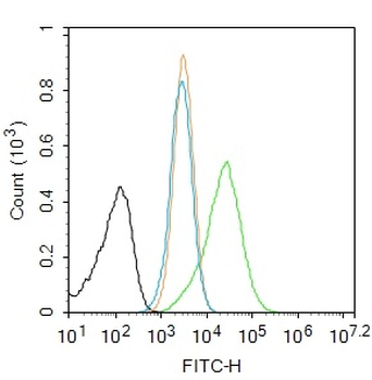 RANKL/CD254 Rabbit Polyclonal Antibody