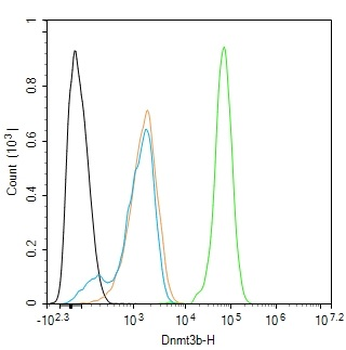 Dnmt3b Rabbit Polyclonal Antibody