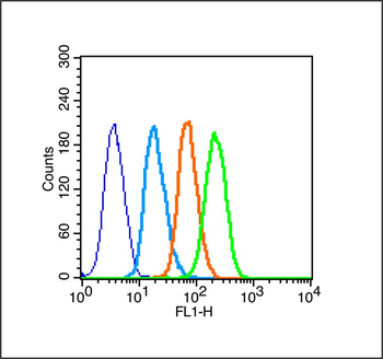 Leptin receptor Rabbit Polyclonal Antibody