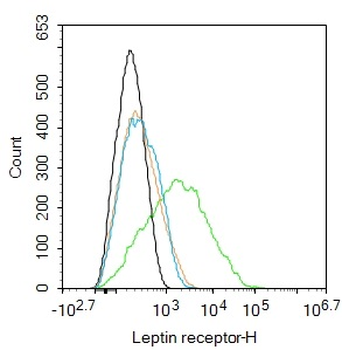 Leptin receptor Rabbit Polyclonal Antibody