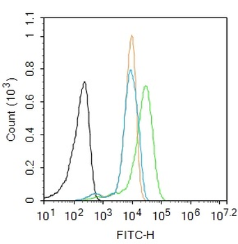 PTGES2 Rabbit Polyclonal Antibody