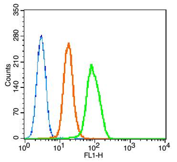 Caspase-8 subunit p10 Rabbit Polyclonal Antibody