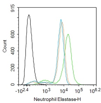 Neutrophil Elastase Rabbit Polyclonal Antibody