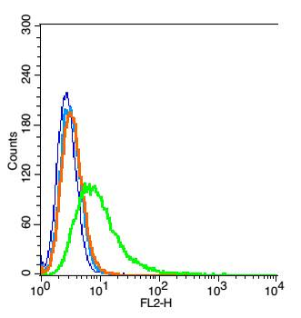 SCNN1A Rabbit Polyclonal Antibody