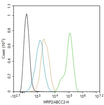 MRP2/ABCC2 Rabbit Polyclonal Antibody