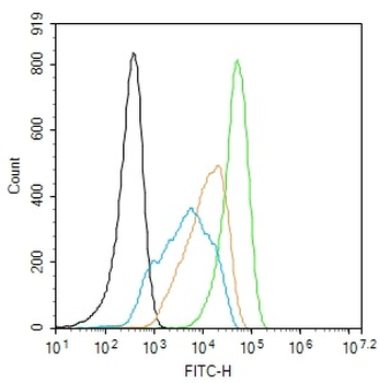 IFN gamma Rabbit Polyclonal Antibody