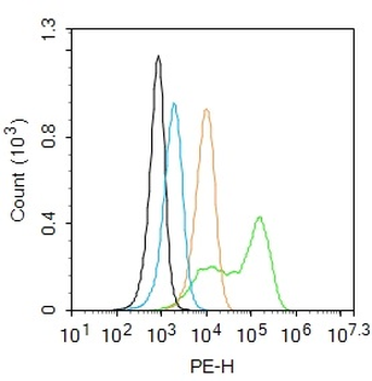 ADRB1 Rabbit Polyclonal Antibody