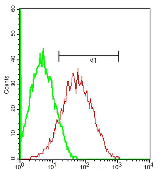 ADRB1 Rabbit Polyclonal Antibody