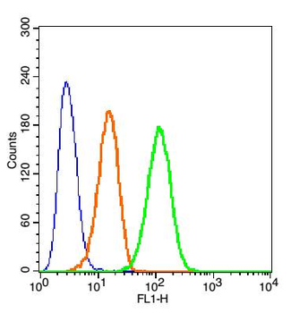 Cyclooxygenase 2 Rabbit Polyclonal Antibody