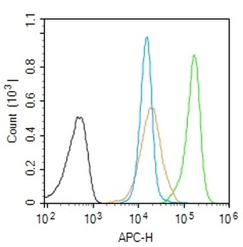 Phospho-E2F1 (Ser364) Rabbit Polyclonal Antibody