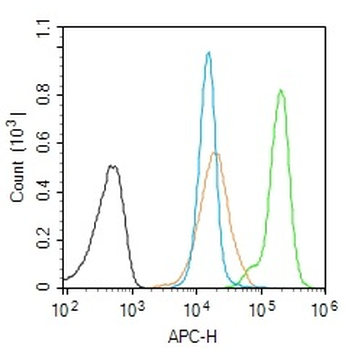 Phospho-E2F1 (Ser332) Rabbit Polyclonal Antibody