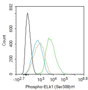 Phospho-ELk1 (Ser389) Rabbit Polyclonal Antibody