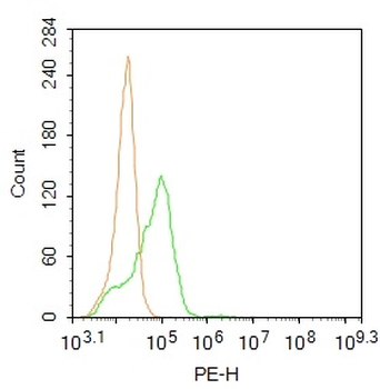ENO3 Rabbit Polyclonal Antibody