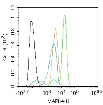 MAPK4 Rabbit Polyclonal Antibody