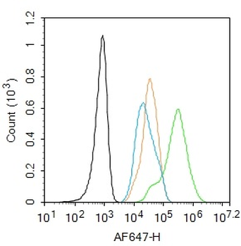 Phospho-FAK (Tyr925) Rabbit Polyclonal Antibody
