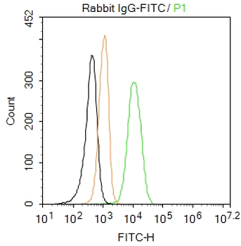 Rabbit IgG / FITC