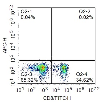 Human CD8 Mouse Monoclonal Antibody (FITC)