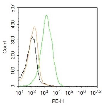 CD133 Rabbit Polyclonal Antibody (PE)