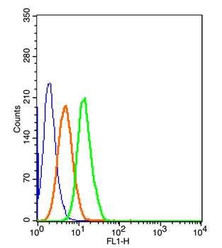 CD133 Rabbit Polyclonal Antibody