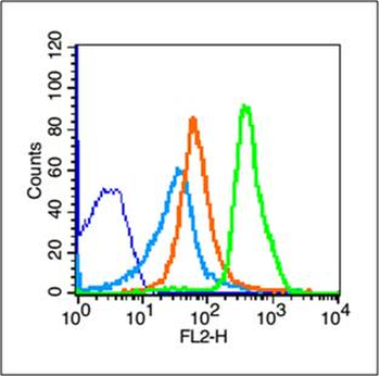 CD14 Rabbit Polyclonal Antibody