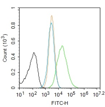 RANKL/CD254 Rabbit Polyclonal Antibody