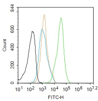 Phospho-Akt1 (Ser473) Recombinant Rabbit Monoclonal Antibody