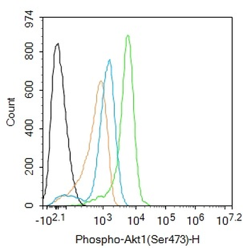 Phospho-Akt1 (Ser473) Recombinant Rabbit Monoclonal Antibody