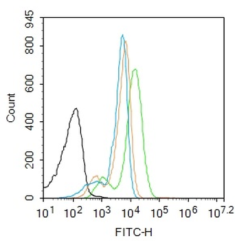 SFTPD Rabbit Polyclonal Antibody