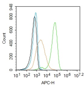 Human CD90/Thy-1 Mouse Monoclonal Antibody
