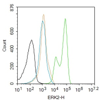 ERK2 Recombinant Rabbit Monoclonal Antibody