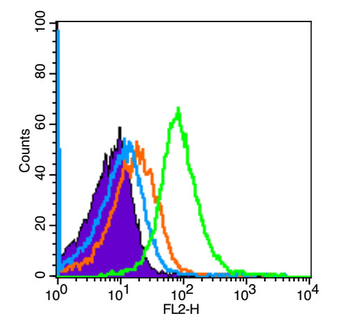 Phospho-GSK-3 Beta (Ser21) Rabbit Polyclonal Antibody
